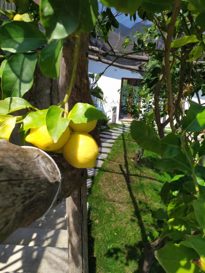 Вілла Casa Mia Скала Екстер'єр фото