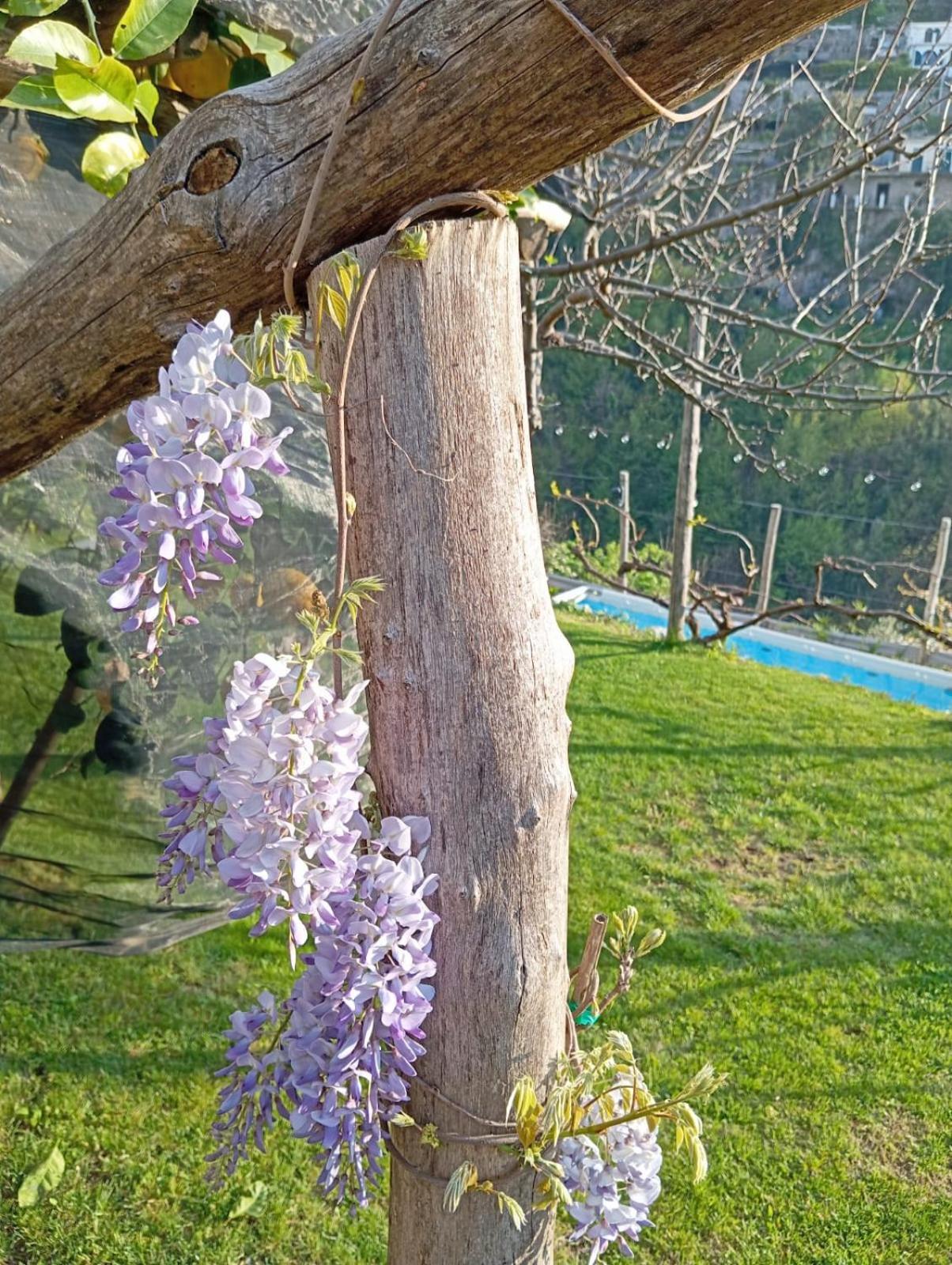 Вілла Casa Mia Скала Екстер'єр фото